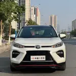 Toyota Wildlander 2020 из Китая