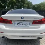 BMW 5 Series 2018 252 л.с. — лот 57015802 из Китая