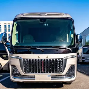 Hongqi 红旗金葵花国悦 из Китая