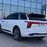 Hongqi Hongqi E-HS9 2023 из Китая