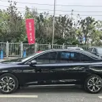 Hongqi Hongqi E-QM5 2023 из Китая