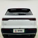 BYD Pro New Energy 2024 из Китая