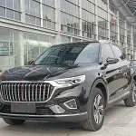 Hongqi Hongqi HS5 2020 из Китая