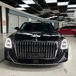 Hongqi 红旗金葵花国雅 2025 из Китая
