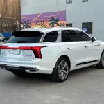 Hongqi Hongqi E-HS9 2023 лот 57571528 из Китая