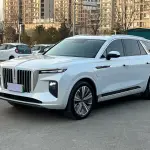 Hongqi Hongqi E-HS9 2023 лот 57571528 из Китая