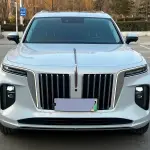 Hongqi Hongqi E-HS9 2023 лот 57571528 из Китая