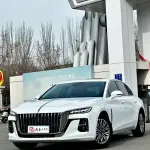 Hongqi Hongqi H5 2023 169 л.с. 169 л.с. из Китая