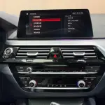 BMW 5 Series (Import) 2019 из Китая