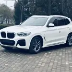 BMW X3 2020 224 л.с. — лот 57608340 из Китая