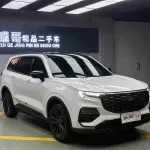 Ford Territory 2024 из Китая