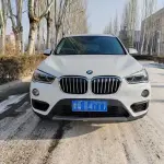 BMW X1 2019 192 л.с. 192 л.с. из Китая