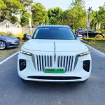 Hongqi Hongqi E-HS9 2021 из Китая