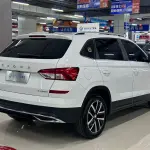 Skoda Kamiq 2023 из Китая