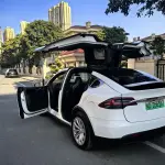 Tesla Model X 2018 из Китая