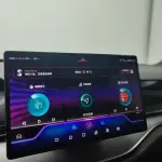 BYD Tang New Energy 2021 из Китая