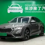 Skoda Octavia 2022 150 л.с. из Китая