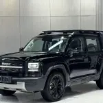 Haval Menglong New Energy из Китая