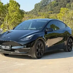 Tesla Model Y 2021 лот 56756808 из Китая