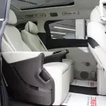 Denza Denza D9 2025 из Китая