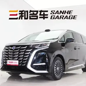 Denza Denza D9 2025 из Китая