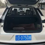 Venucia Star 2021 из Китая