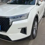 Venucia Star 2021 из Китая