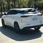 Oshan Oushang Z6 2024 из Китая