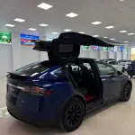 Tesla Model X 2019 из Китая