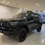 Tank Tank 400 New Energy 2024 из Китая