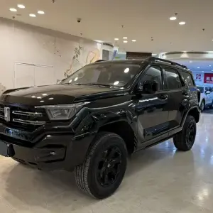 Tank Tank 400 New Energy 2024 из Китая