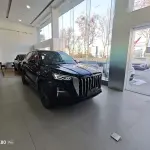 Hongqi Hongqi HS5 2025 из Китая