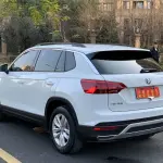 Volkswagen Tayron 2021 из Китая