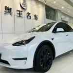 Tesla Model Y 2021 из Китая