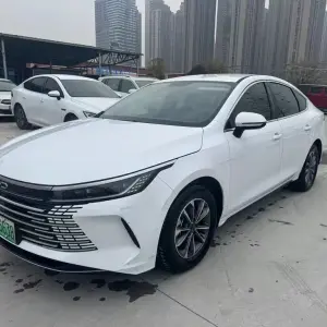 BYD Destroyer 05 2024 из Китая