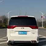GAC Motor Trumpchi M8 2020 из Китая
