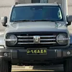Tank Tank 300 2023 из Китая