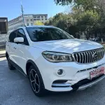 SWM SWM X7 2019 из Китая