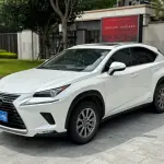 Lexus NX 2020 из Китая