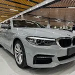 BMW 5 Series (Import) 2019 из Китая