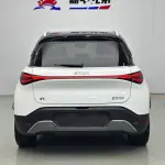 smart Smart #1 2023 из Китая