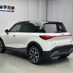 smart Smart #1 2023 из Китая