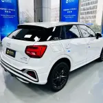 Audi Q2L 2022 из Китая