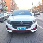 Fengguang Fengguang 500 2021 из Китая