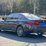 BMW 5 Series 2019 252 л.с. — лот 57522896 из Китая