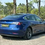 Tesla Model 3 2019 из Китая