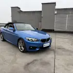 BMW 2 Series (Import) 2018 из Китая