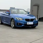 BMW 2 Series (Import) 2018 из Китая