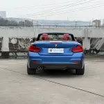 BMW 2 Series (Import) 2018 из Китая