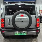 Haval Menglong New Energy 2024 из Китая